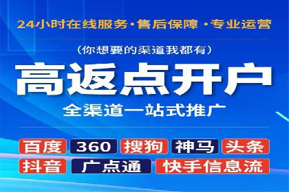 百度竞价运营的挑战与机遇：成功案例探讨